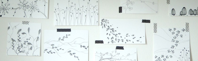 headerdisegnonewselisaviotto