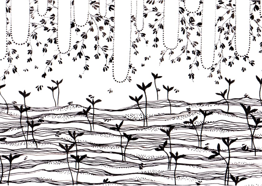 ©Elisa Viotto - Flowers will come